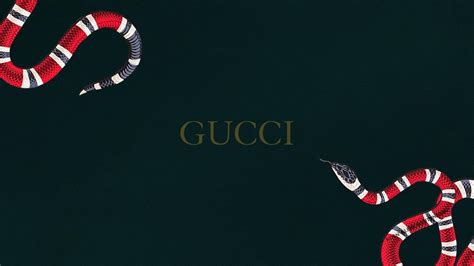 fondos de pantalla gucci 1920x 1080 full hd|gucci wallpaper 4k 1080p.